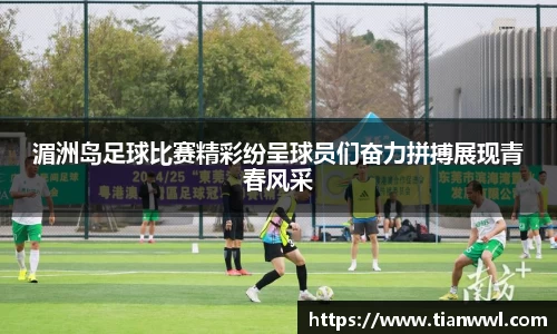 JJB竞技宝官网