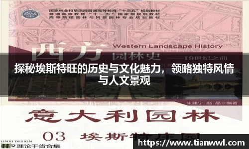 竞技宝JJB